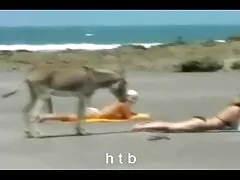 בלונדינית Teen סקב חינם Plumper Velma Voodoo Deepthroats וזיין לה את התחת