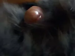 אנלי זין ענק לגל זלדה מוריסון סרטי סק חינם