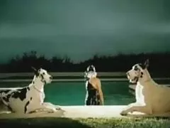 לפני שתהיה האמא החורגת החדשה שלי מצלמות xxx